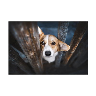 Natalie Grosse Hi There Canvas Art