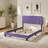 Contemporary Purple Full Size Bed