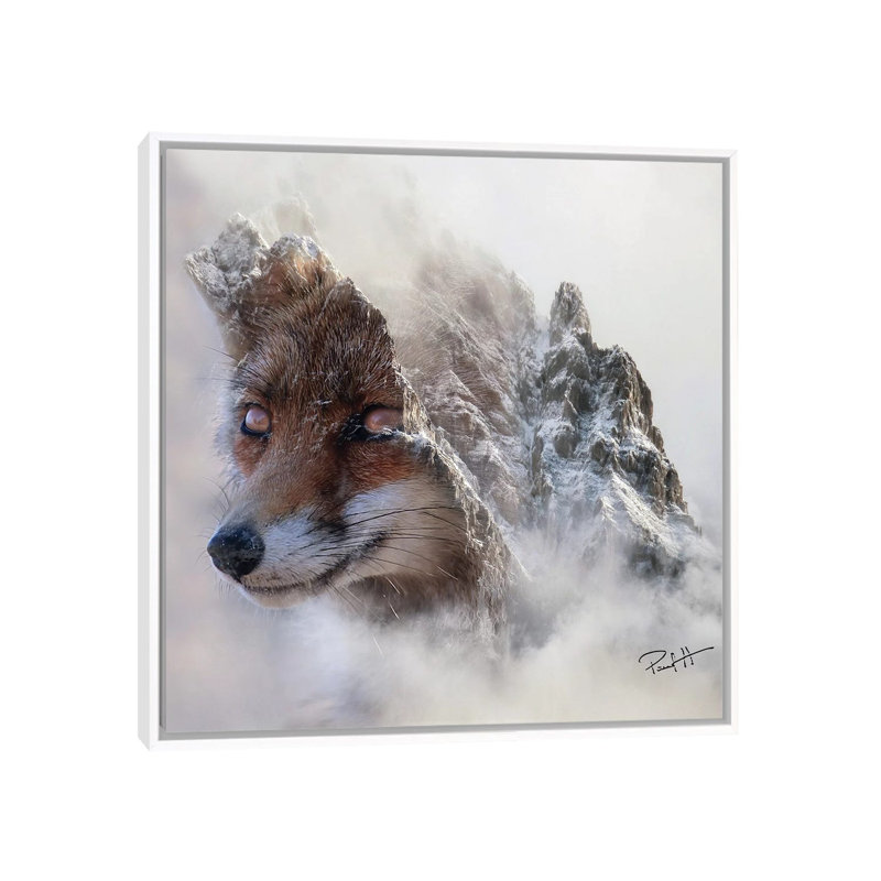 Mountain Fox by Paul Haag - Print on Canvas, White Framed, 45.72 cm H x 45.72 cm W