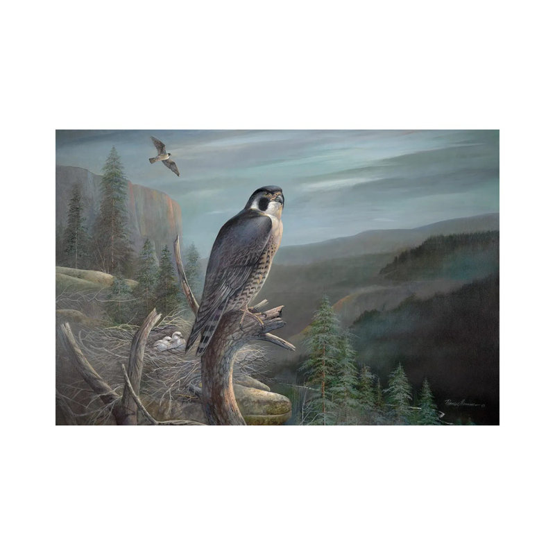 Falcon par Ruane Manning - reproduction d'art, H 12 po x l 18 po x 1,5 po, Toile tendue, Aucun mat