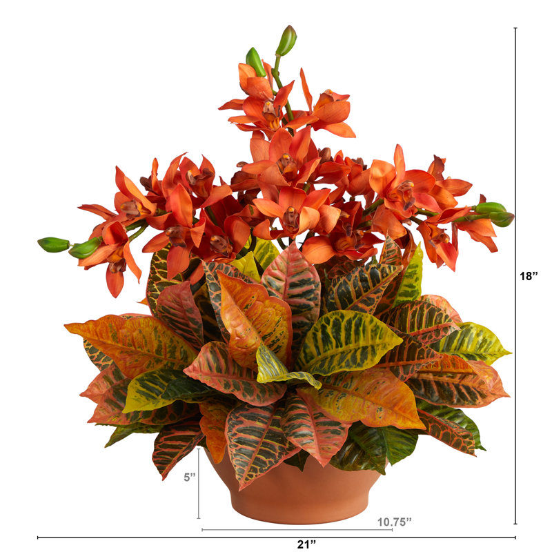 Arrangement floral cymbidium dans un vase
