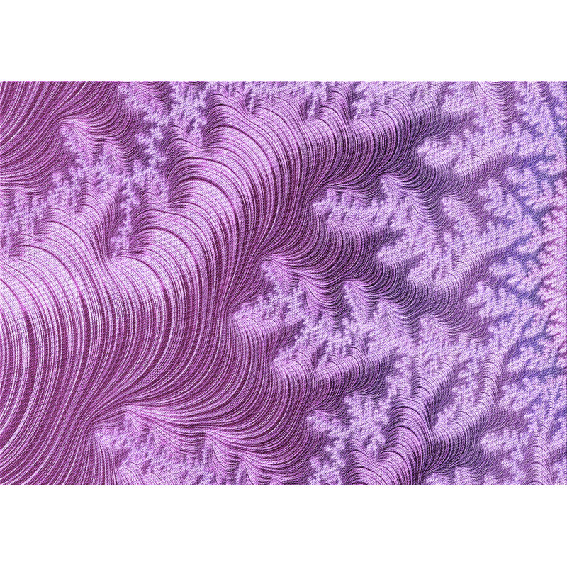 Indoor Rug