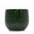 Dark Green selected