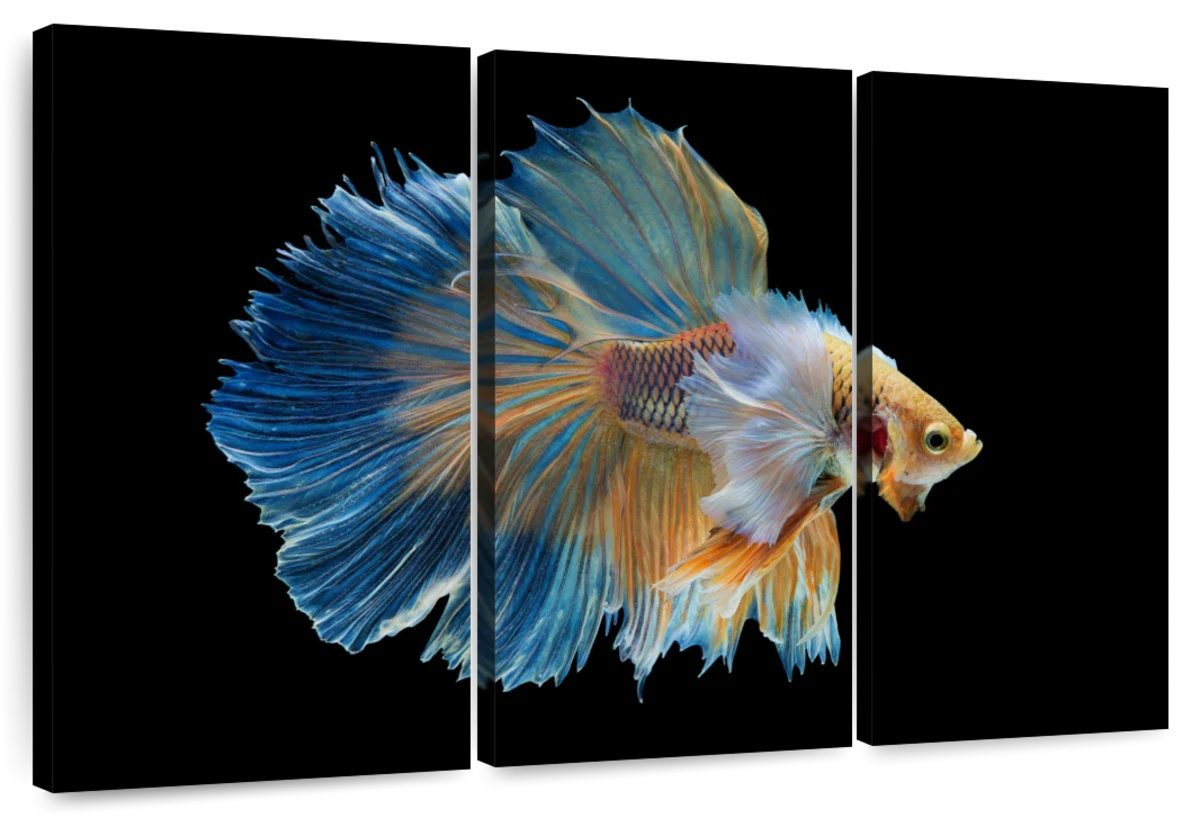 Sublime Standing Fish Ebern Designs Brampt Sublime Fighter Fish | Wayfair