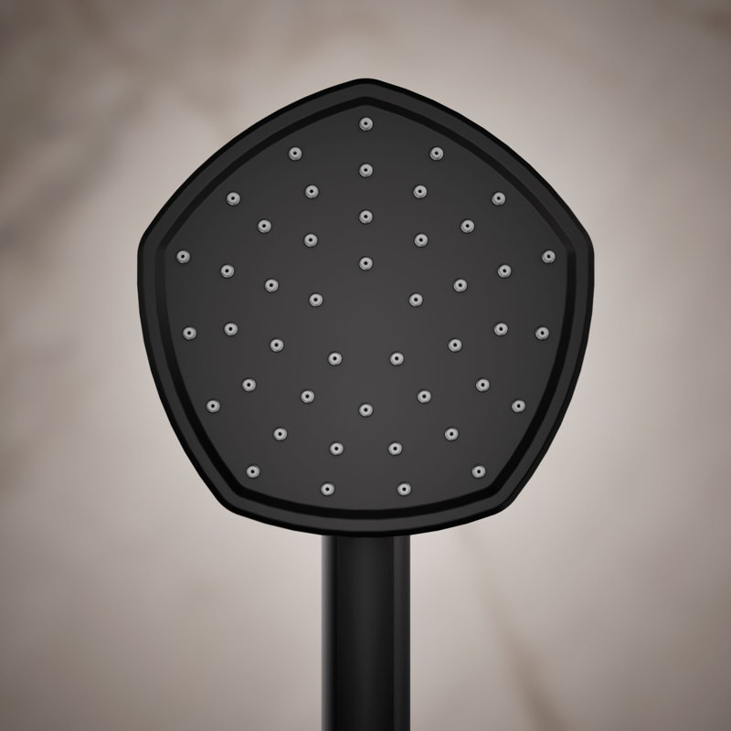 Occasion Single-Function 2.5 Gpm Handshower, Matte Black