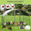 Chicken Run-142944534