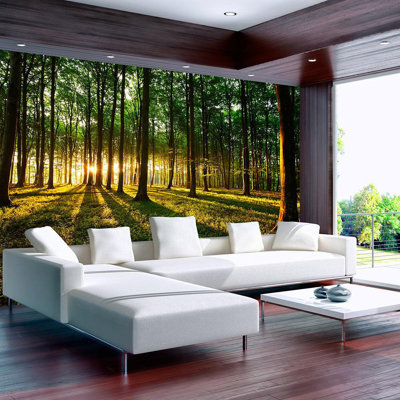 Spring Morning in The Forest Wall Mural