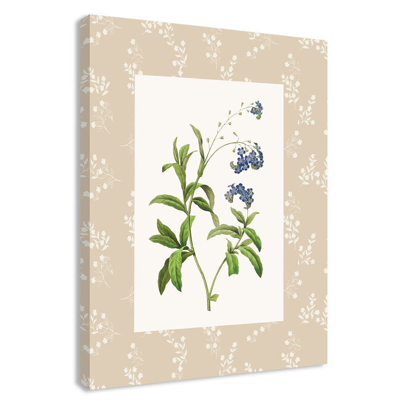 «Botanical Plate I Print» par Susan Jill, 18'' W x 24'' H, Wrapped Canvas, Sans cadre