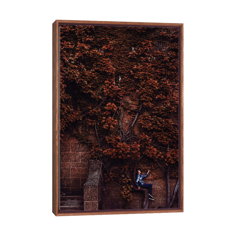 «Unity» par Hobopeeba - reproduction de photo, H 26 po x l 18 po x 1,5 po, Toile avec cadre en bois brun classique