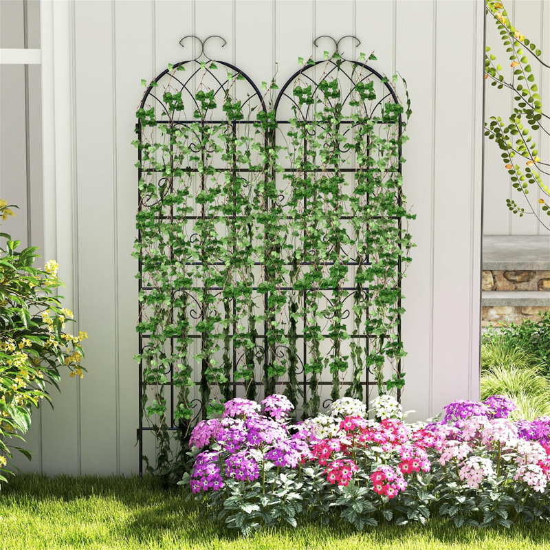 180cm H x 50cm W Metal Arched