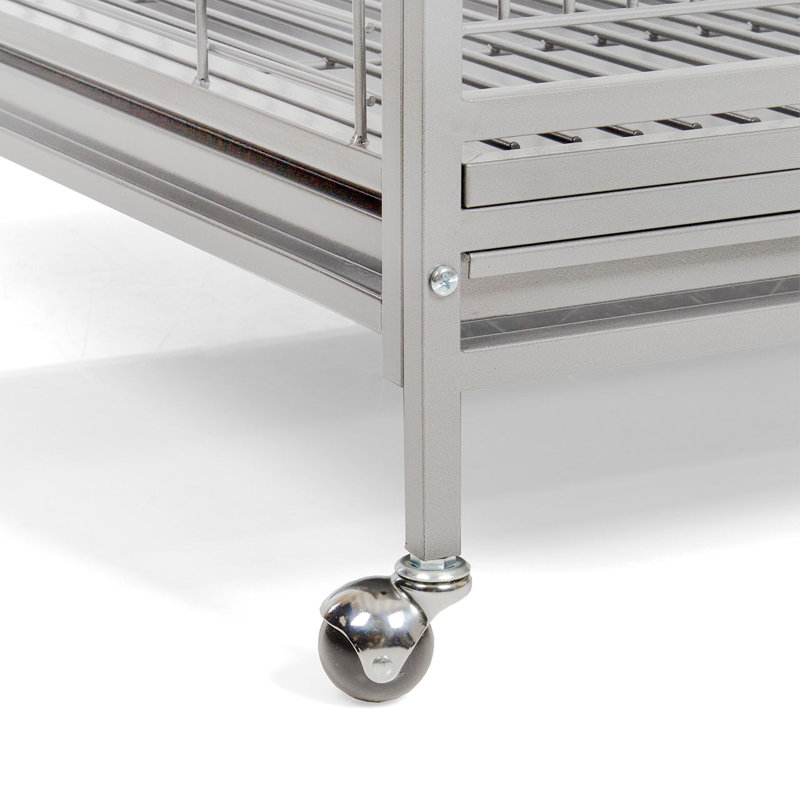 Grande cage à ara double platine par HQ, Platine