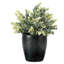 Pot d'eucalyptus artificiel en pot de béton