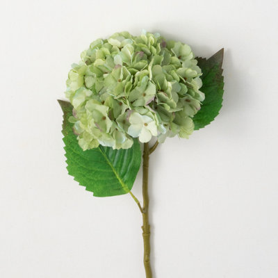 Hortensia en fleurs 21 po Hatherleigh
