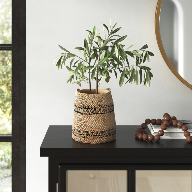 Eralia Pot Planter, 7.1" H x 6.5" W x 6.5" D