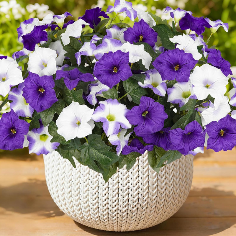 Lot de 6 pétunias artificiels violets en soie pour l'extérieur