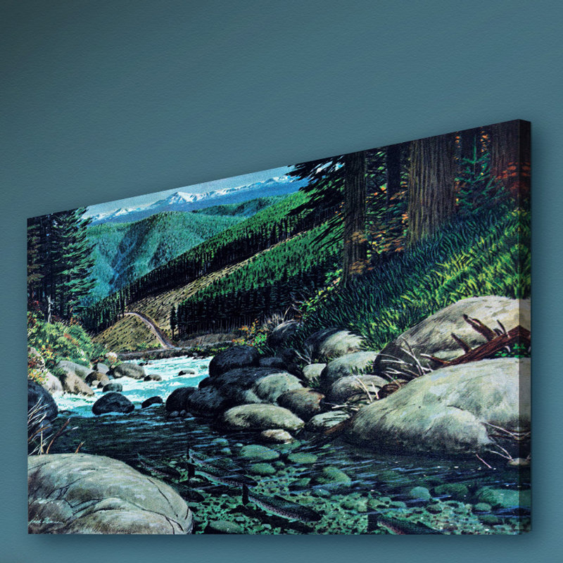 « steelhead », reproduction d’art sur toile tendue, H 16 po x l 24 po x P 1,5 po