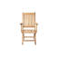 Melosa Outdoor Dining Armchair