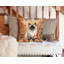 Coussin Himalayan-112679508
