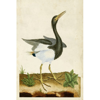 Heron Portrait V - Painting