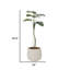 Jardinière artificielle 63,6 po Monstera en coquillage conçue pour une utilisation intérieure et extérieure