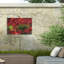 "Ologia bol "sur un fond rouge sur toile par Kurt Shaffer-98081504
