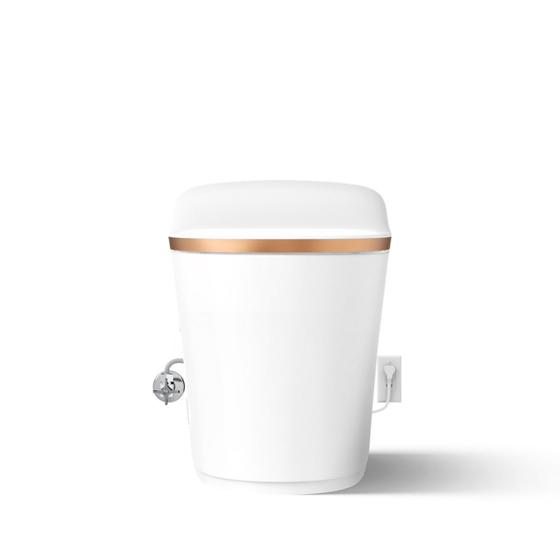 Eir™ Comfort Height™ Elongated Toilet, White/Sunrise Gold Trim