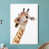 White Framed Canvas is out of stock