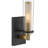 Zanyia Steel Armed Sconce