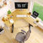 Bureau en L à hauteur ajustable Suzette-2101600394