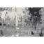 Abstract Area Rug in Silver/Charcoal/Gray