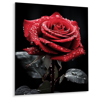 " Red Black Rose Elegance IV "