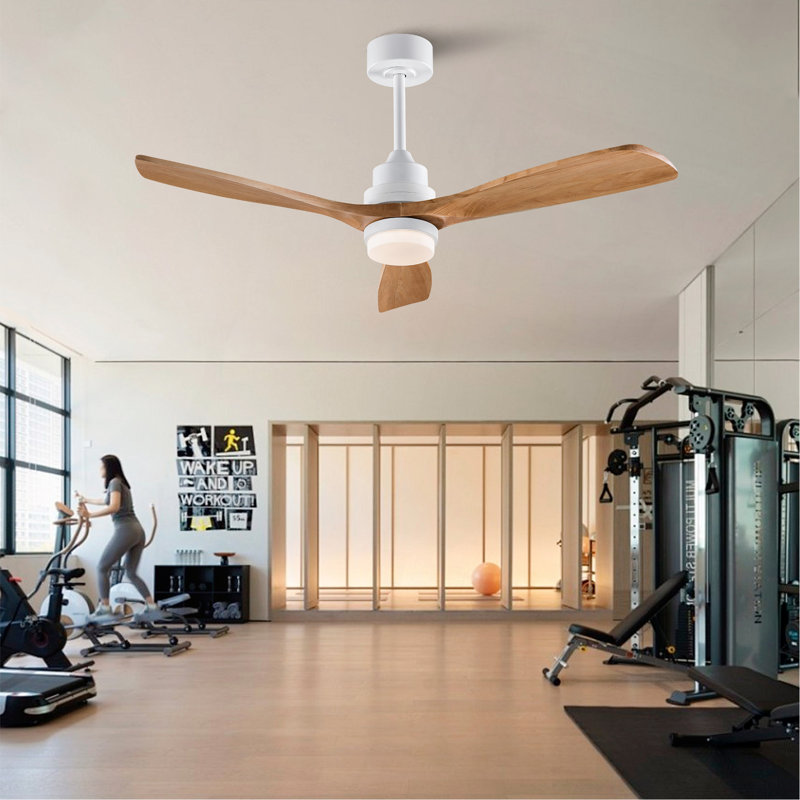 Hot Ventilateur de plafond moderne de 52 pouces avec moteur à courant continu réversible à télécommande 3 pales à intensité variable 3 couleurs