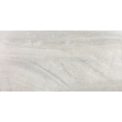 Carreau de champ en porcelaine 12 po x 24 po glaçon Enrichment