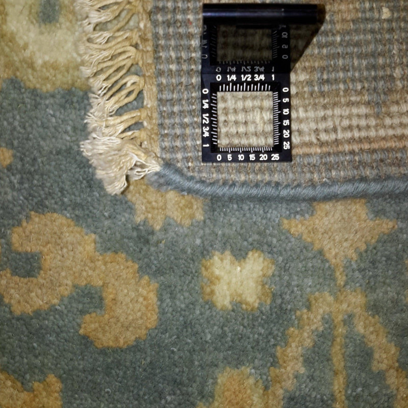 Piccarda Oriental Area Rug in Blue