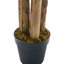 180cm Faux Plant in Nursery Pot