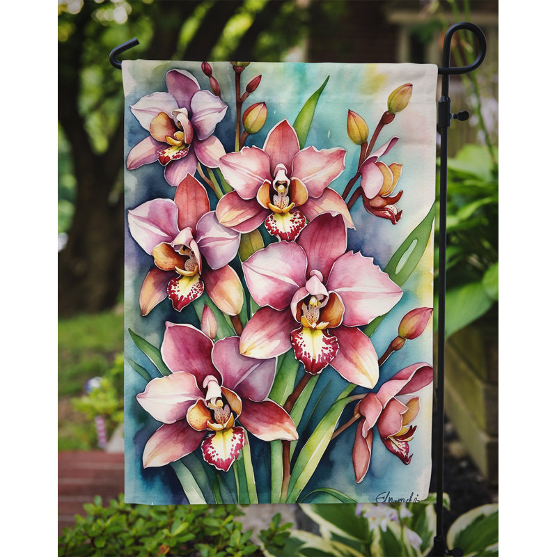Drapeau d'hypericum ou de millepertuis, Cymbidium orchidées