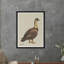 Standing Goose Print