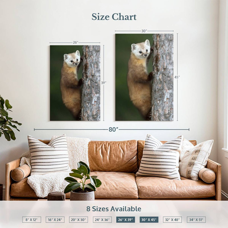 Brampt Wild American Marten, 45" H x 30" W