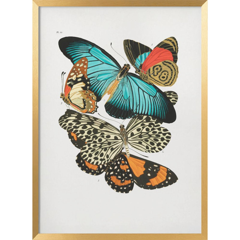 Nature Inspired " 1" Framed Print Wall Art, 10" H x 8" W 
