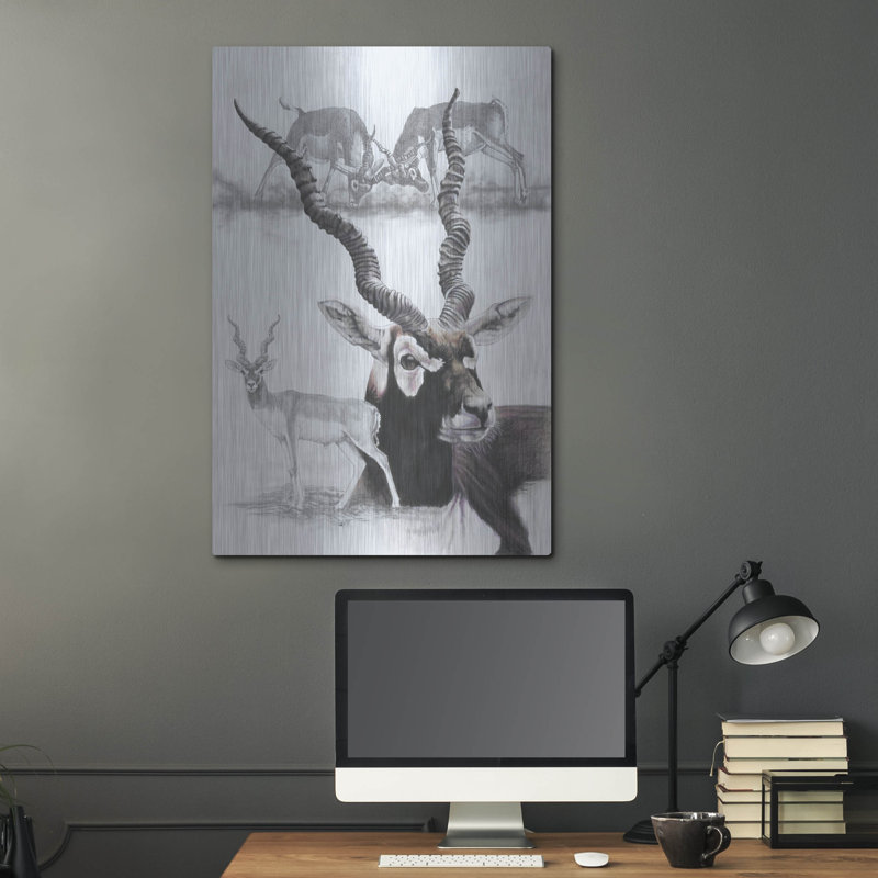 «Black Buck» par Barbara Keith, H 36 po x l 24 po