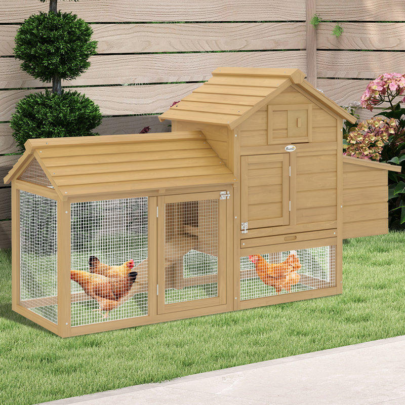 Chicken Coop
