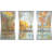 " Lakeside Reflection " 3 - Pieces-947224165