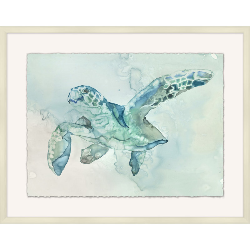 Australian Sea Turtle 2 Print