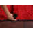 Lyla-Mai One-of-a-Kind 6'4" X 13'3" Wool Area Rug in Red