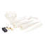 Astoria Grand 25" Deluxe LED White Moravian Star.