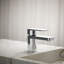 Parallel Single-Handle Bathroom Sink Faucet, 1.0 Gpm-591803000