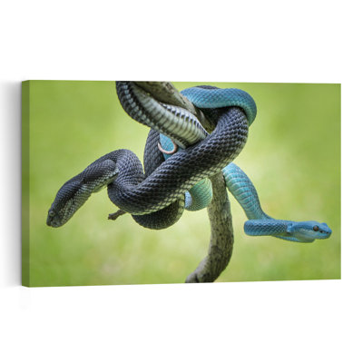Blue And Black Vipers Abstract Contemporary Snake Forest Nature Wall Art Print 1 Piece Wrapped Canvas Wall Art