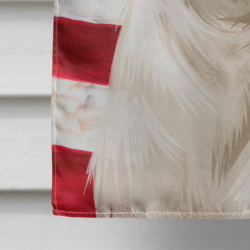 Polyester à 2 côtés 28 x 40 po drapeau maison, Chien d'Istrie à poil court