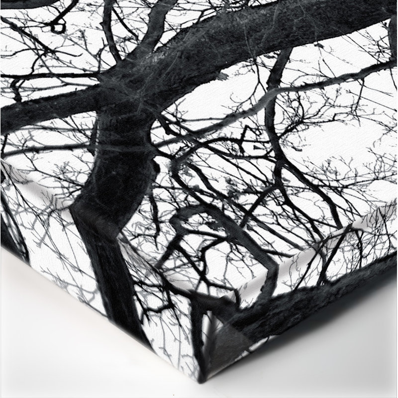Deer Tree Nature Black and White Canvas Print, 16" x 20"