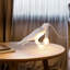 Lampe de bureau Raven-1461513798